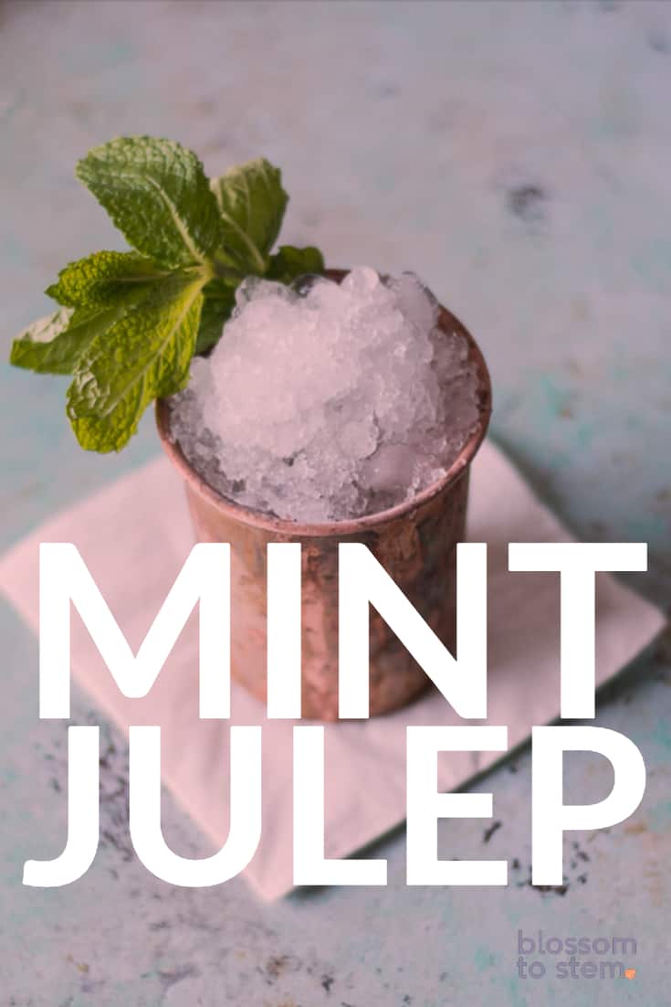 Mint Julep