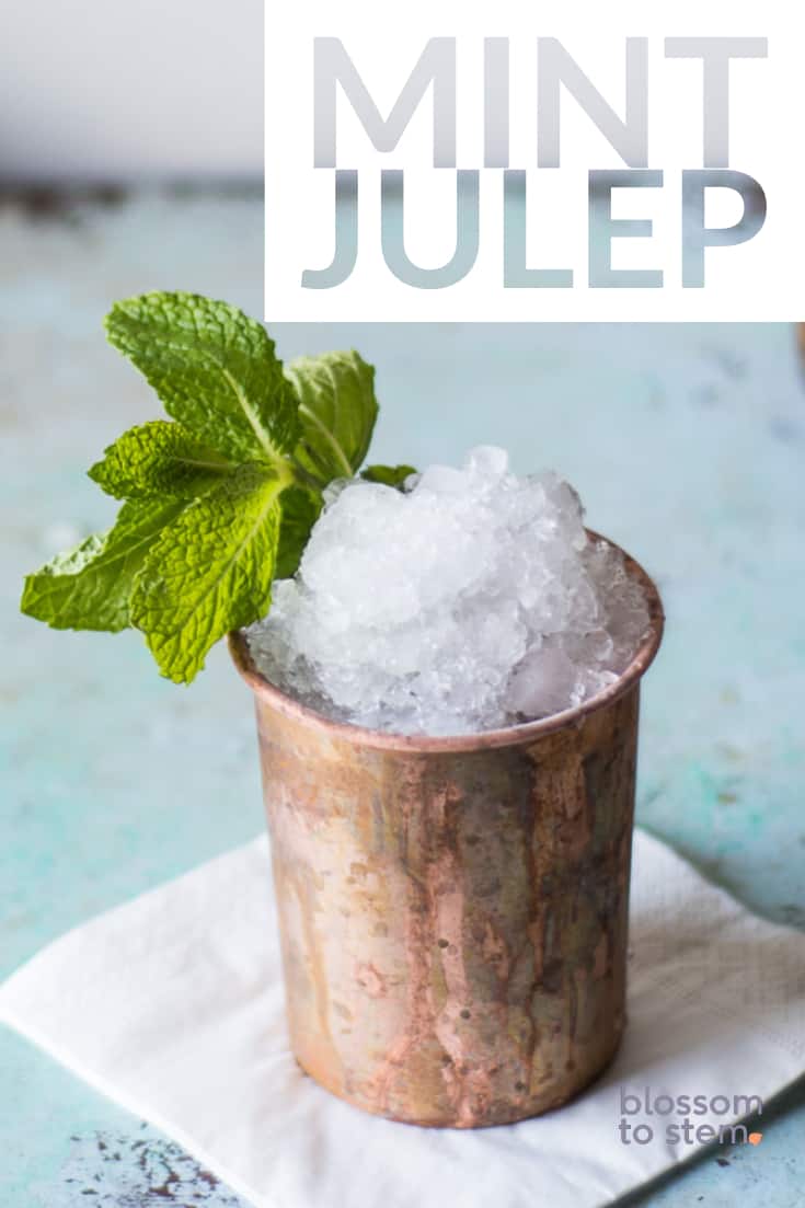 Mint Julep