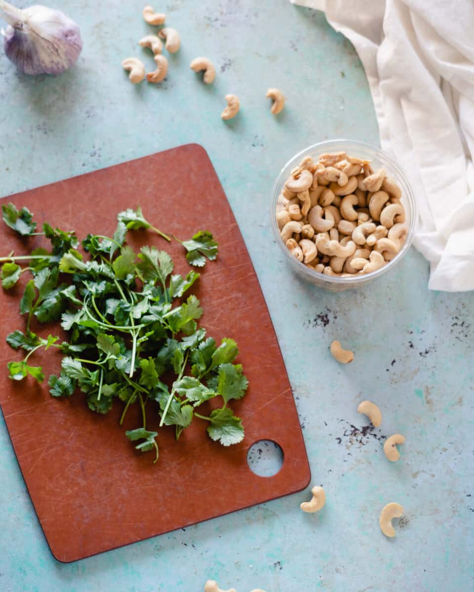 Cilantro on a cutting board next to a container of cashews and a bulb of garlic