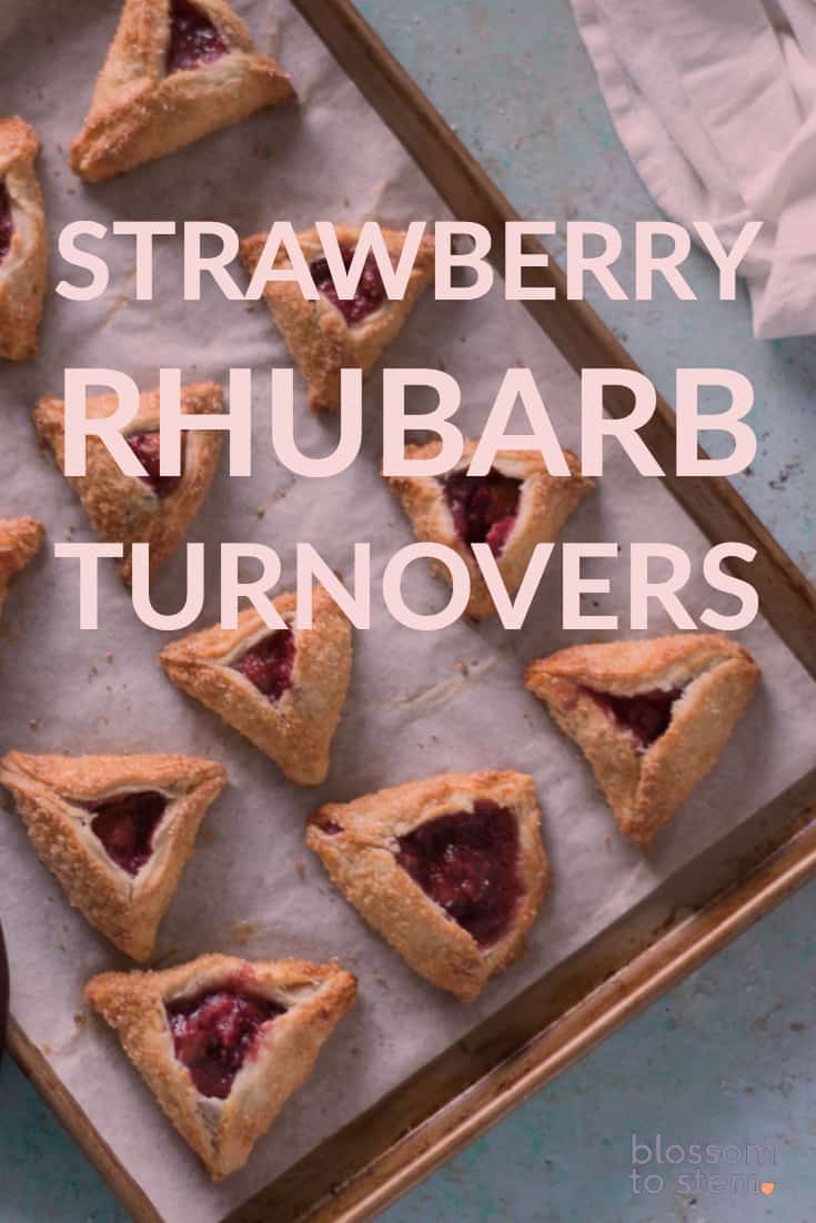 Strawberry Rhubarb Turnovers