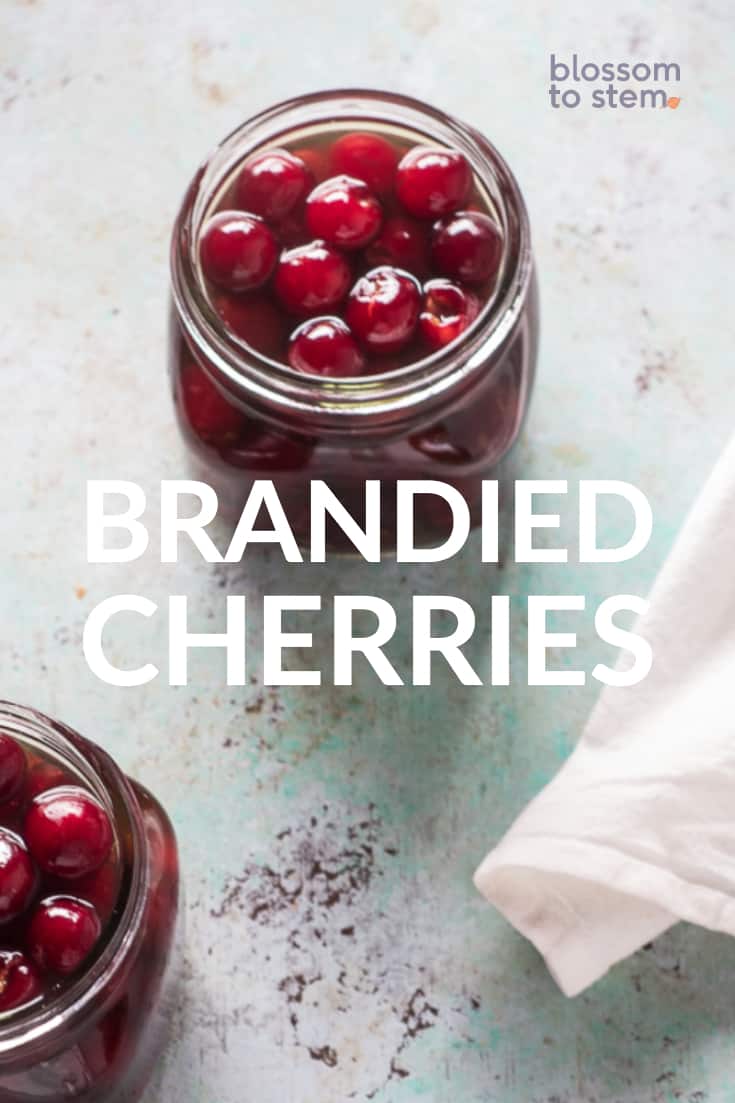 Brandied Cherries