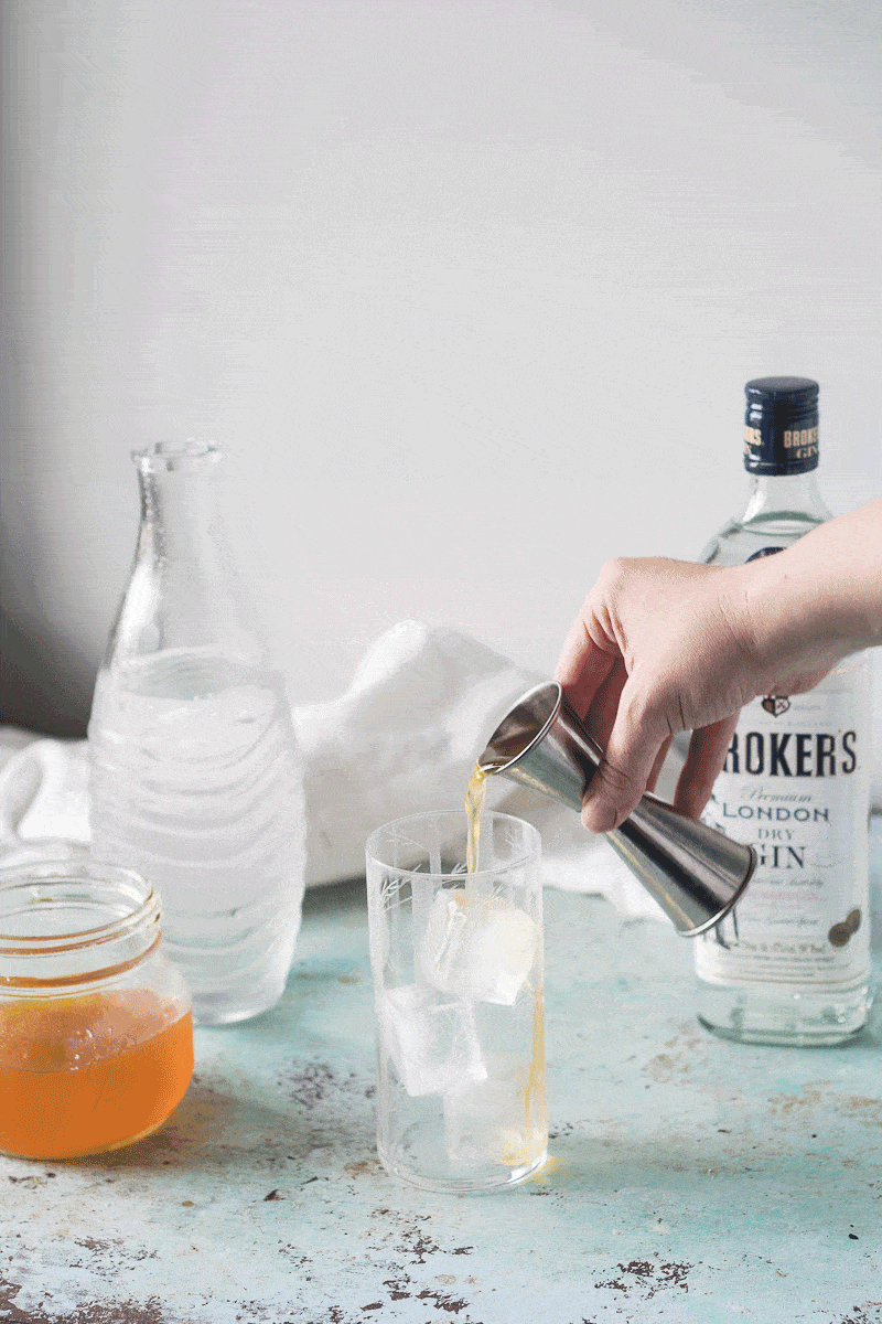 Gin and Tonic a gateway cocktail Blossom to Stem