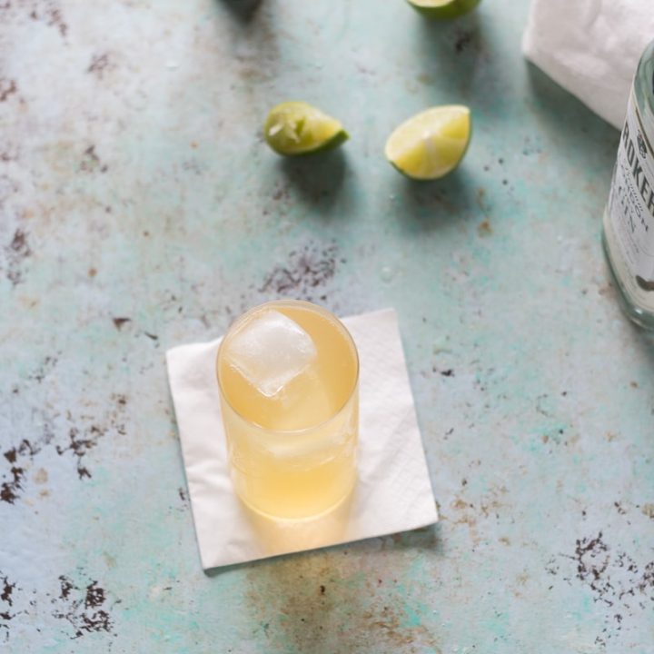 Gin and Tonic-image