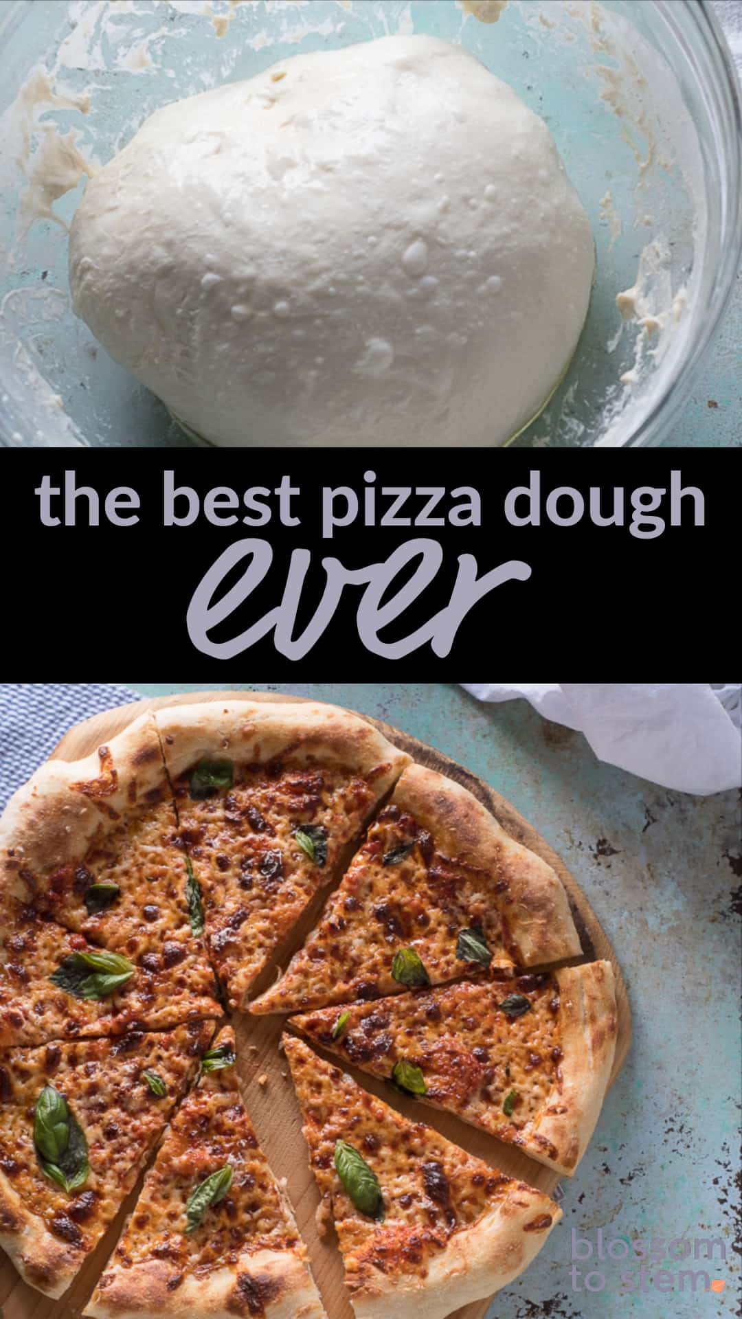 The best pizza dough, chewy thin crust with a puffy rim Blossom to Stem