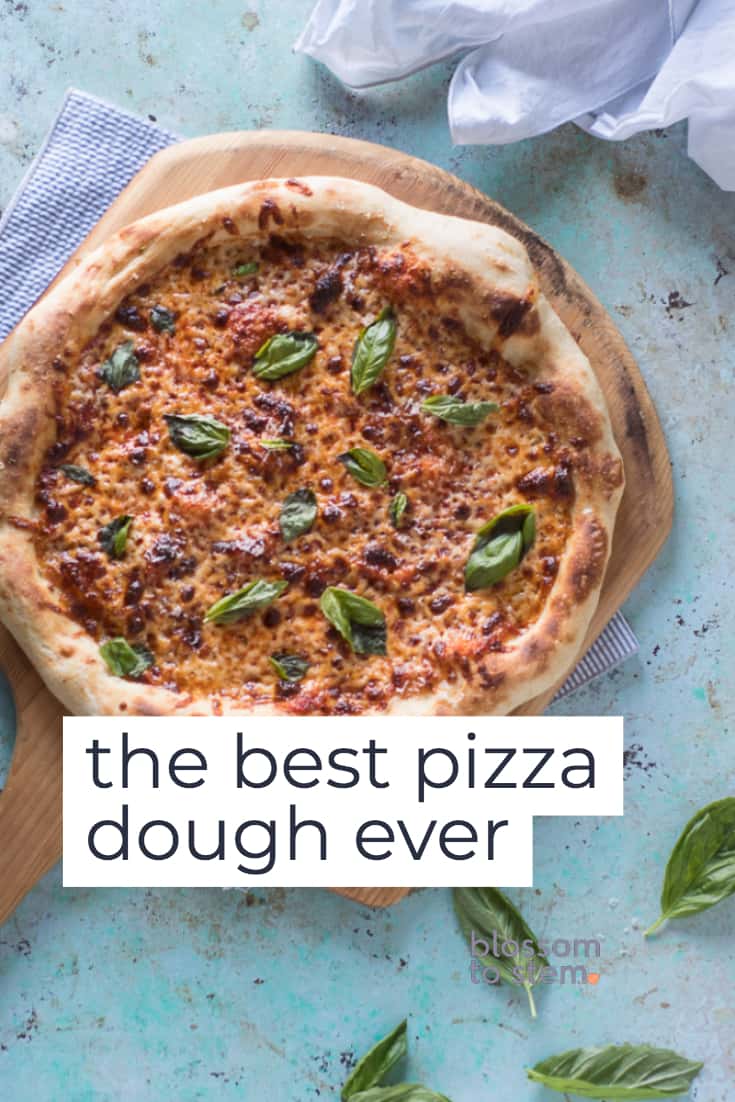 The Best Pizza Dough Ever