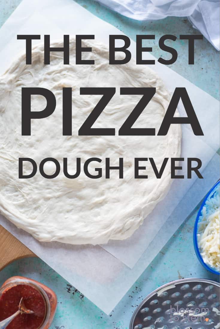 The Best Pizza Dough Ever