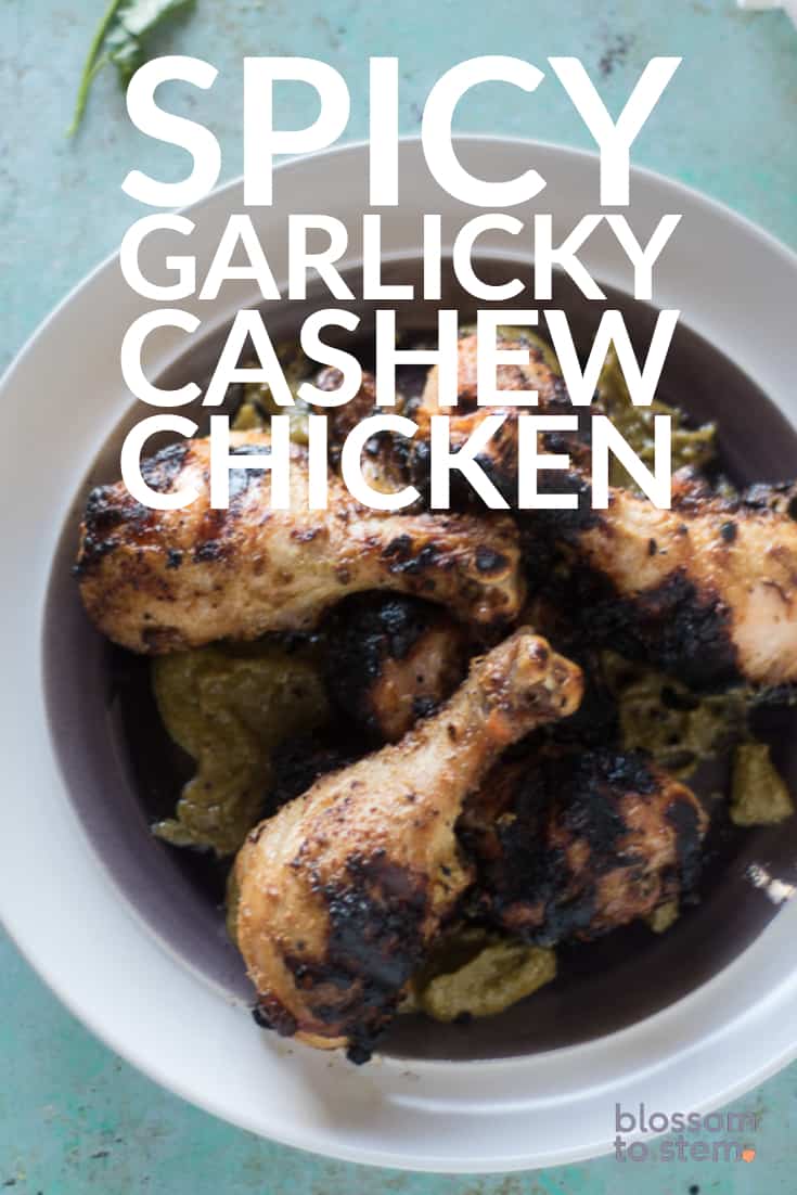Spicy Garlicky Cashew Chicken