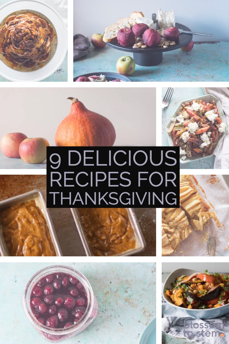 9 Delicious Recipes for Thanksgiving | From Blossom to Stem