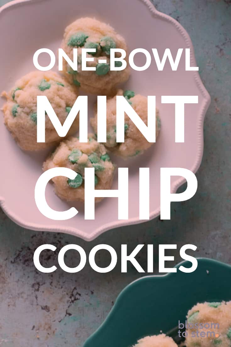 One-Bowl Mint Chip Cookies