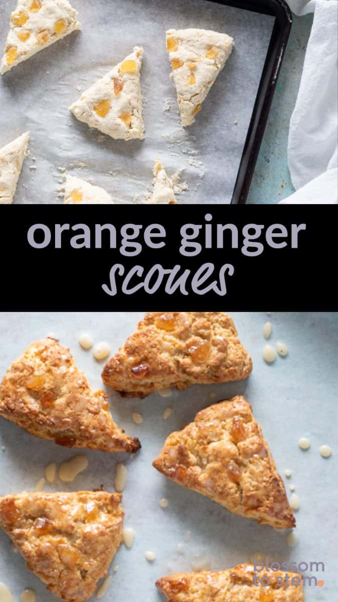 Orange Ginger Scones