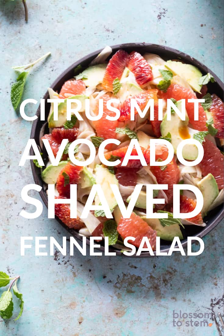 Citrus Mint Avocado Shaved Fennel Salad