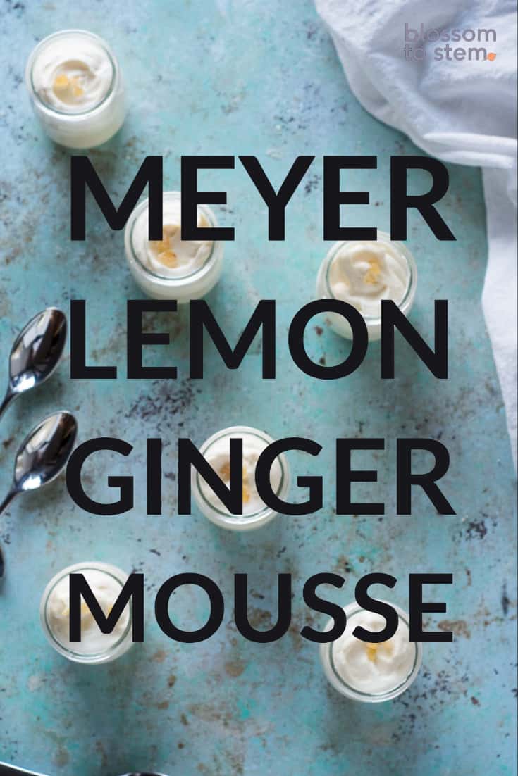 Meyer Lemon Ginger Mousse
