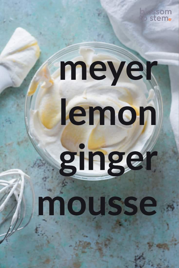 Meyer Lemon Ginger Mousse