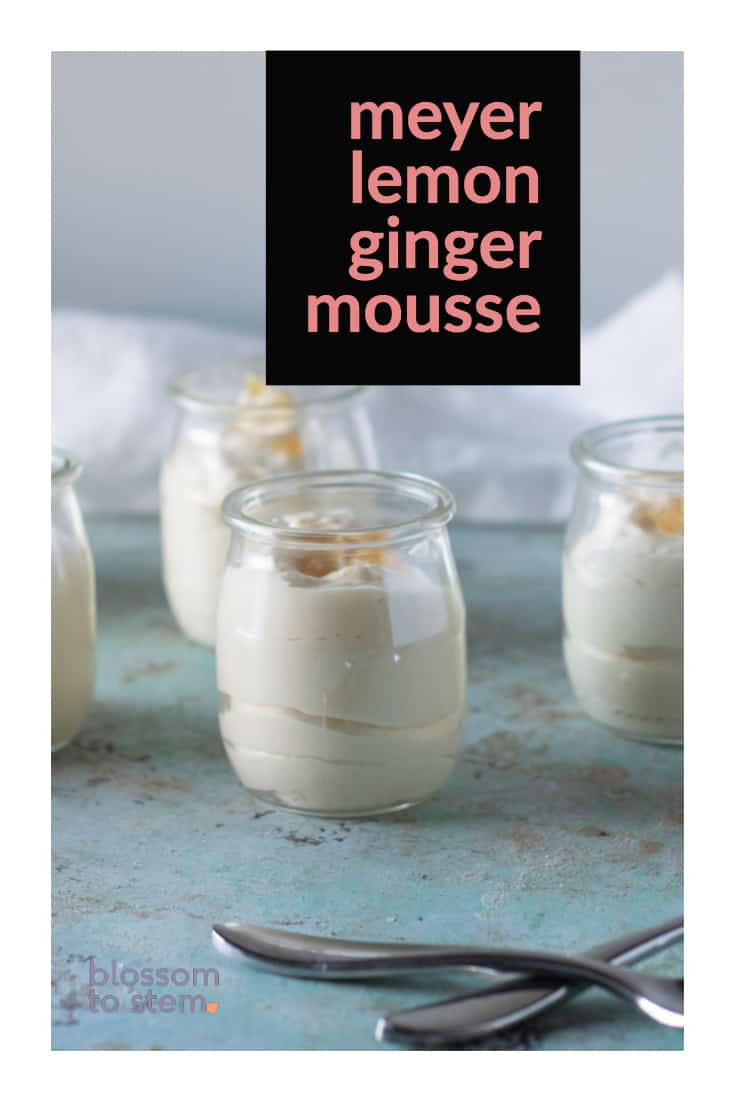 Meyer Lemon Ginger Mousse