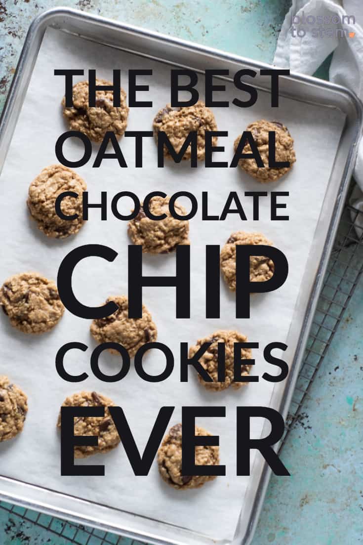 The Best Oatmeal Chocolate Chip Cookies Ever