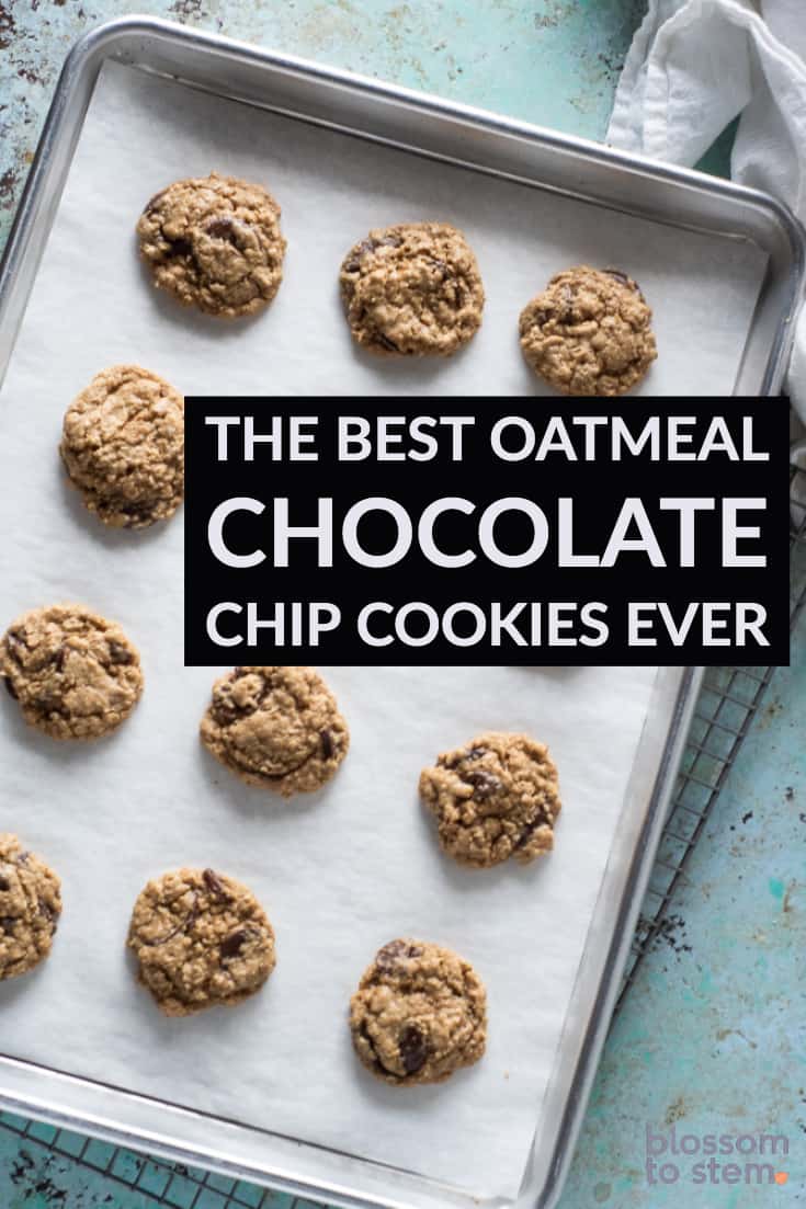 The Best Oatmeal Chocolate Chip Cookies Ever