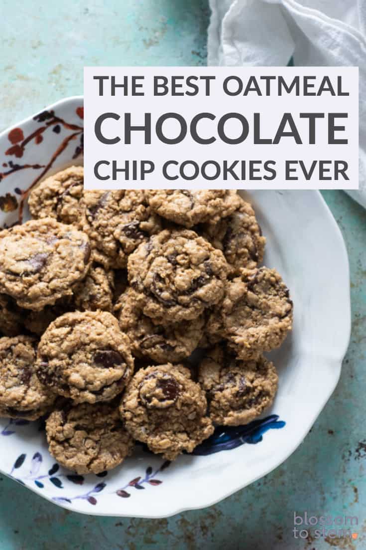 The Best Oatmeal Chocolate Chip Cookies Ever