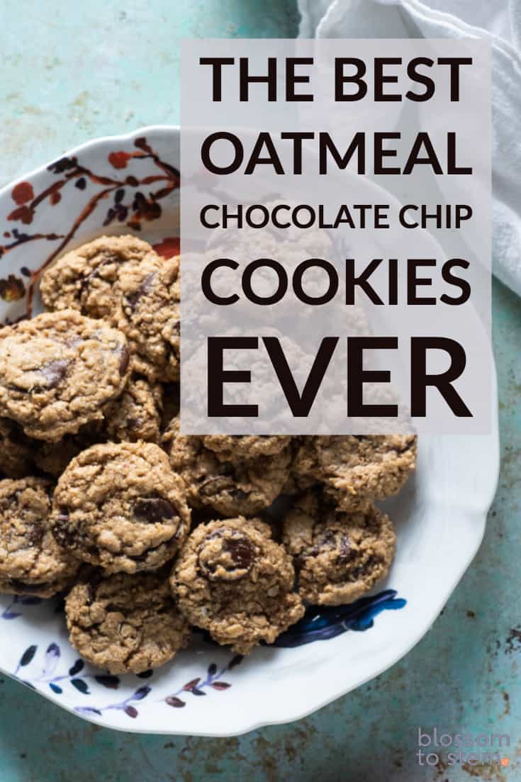 The Best Oatmeal Chocolate Chip Cookies Ever