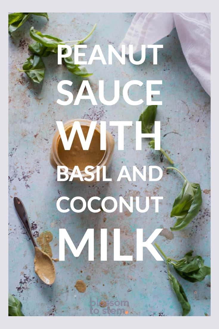 Peanut Sauce with Basil and Coconut Milk