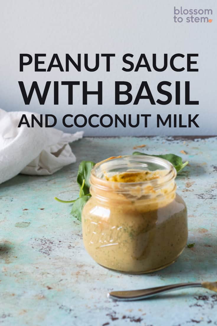 Peanut Sauce with Basil and Coconut Milk