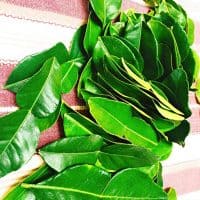 Fresh Lime Leaves (Thai Lime Leaves) 2 Oz.