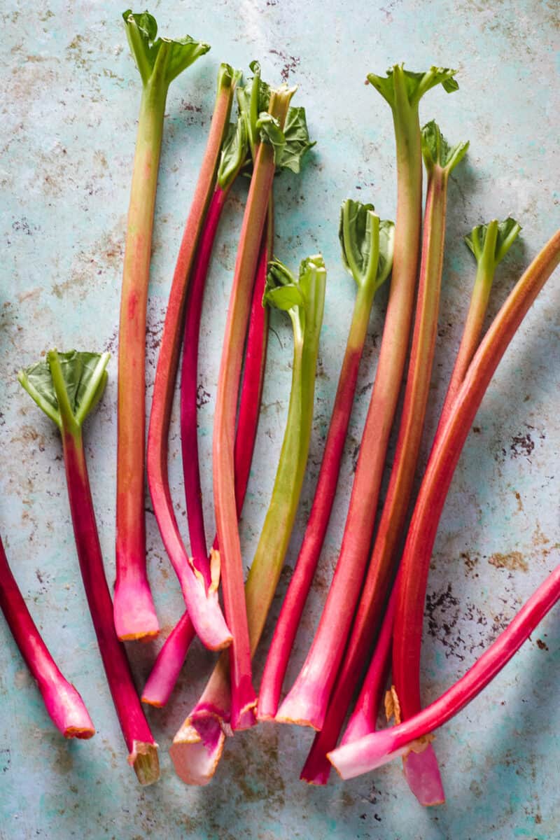 Stalks of rhubarb lying on a counter