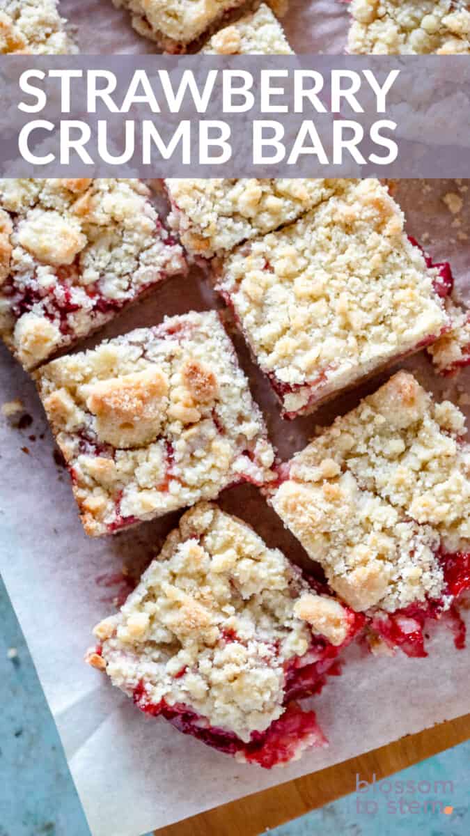 Strawberry Crumb Bars