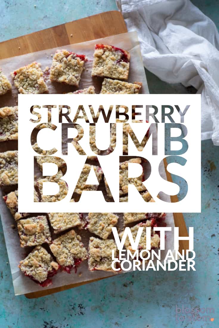 Strawberry Crumb Bars with Lemon and Coriander