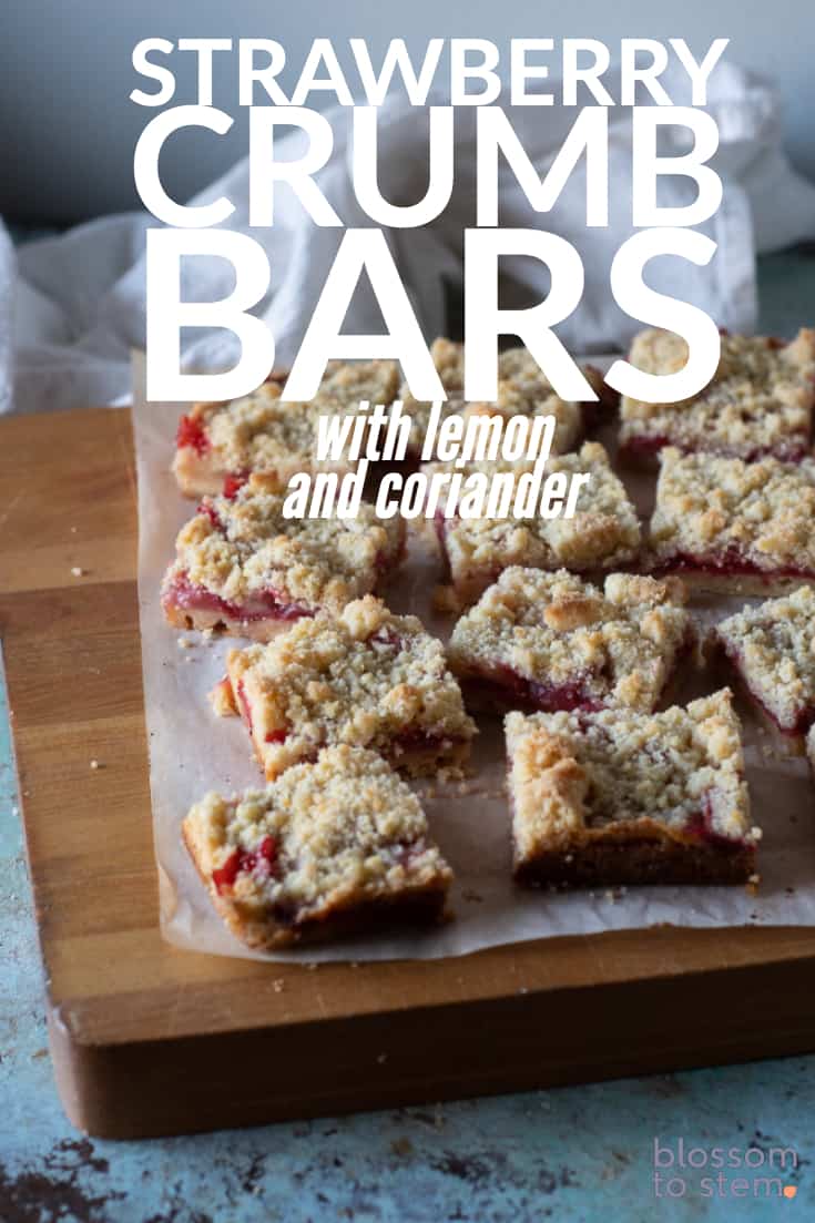 Strawberry Crumb Bars with Lemon and Coriander