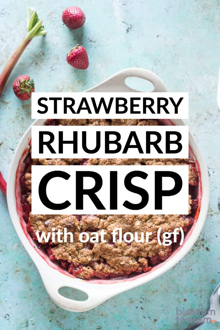 Strawberry Rhubarb Crisp with Oat Flour