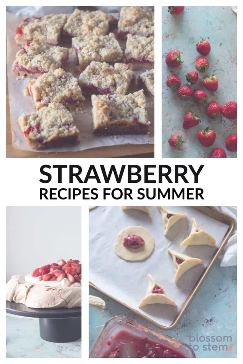 Strawberry recipes for summer