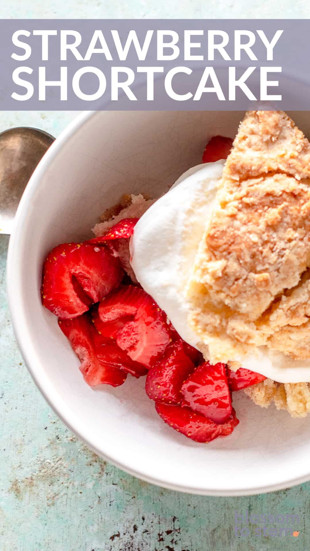 Strawberry Shortcake, a pat-in-the-pan classic - Blossom to Stem