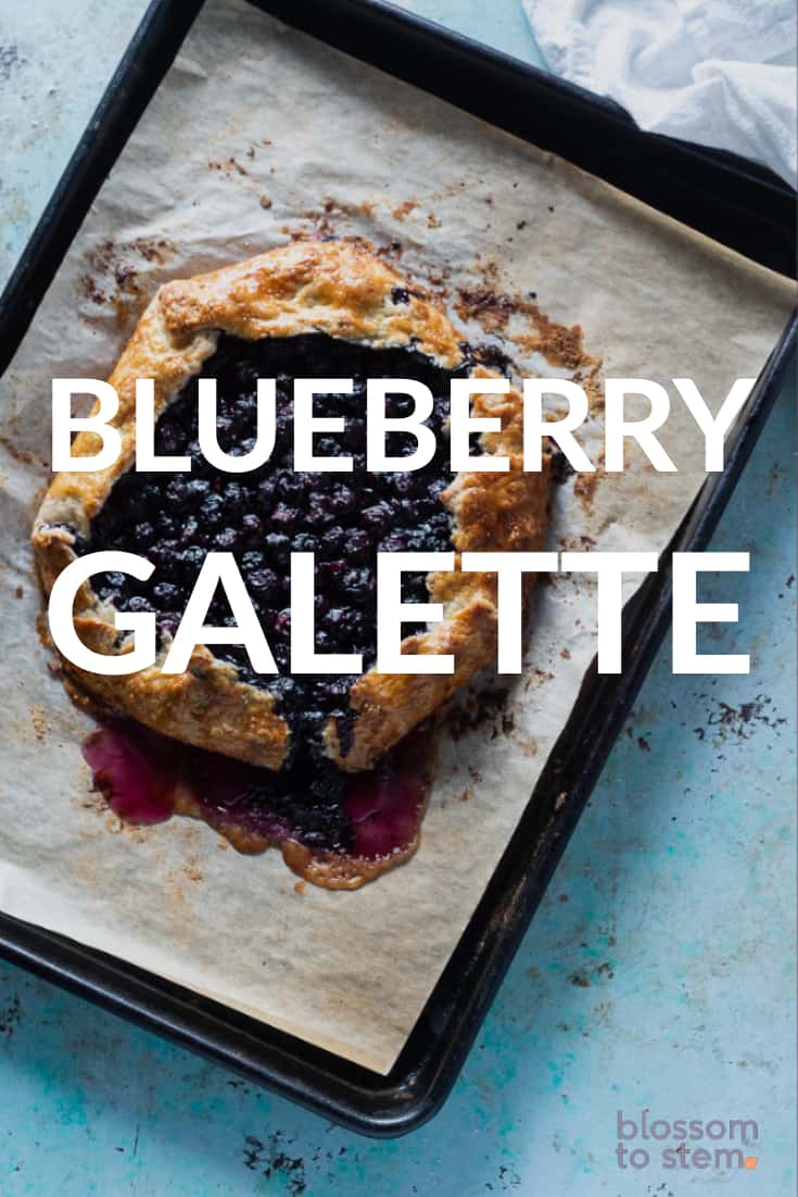 Blueberry Galette