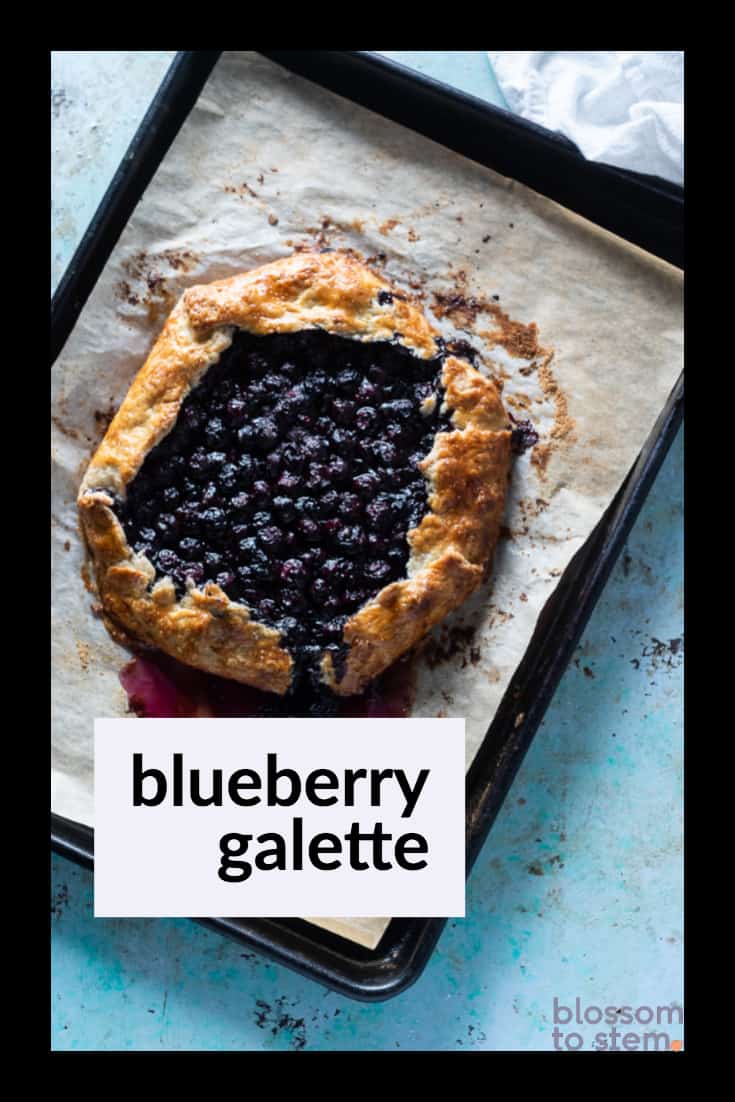 Blueberry Galette