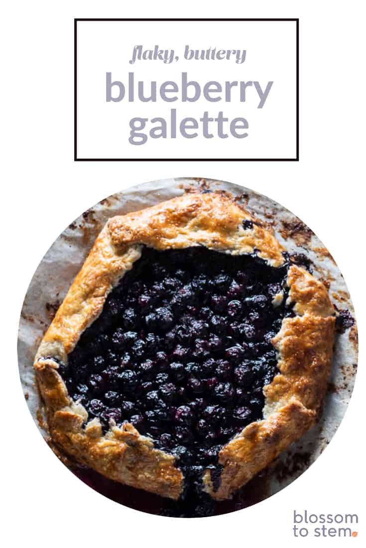 Flaky, Buttery Blueberry Galette