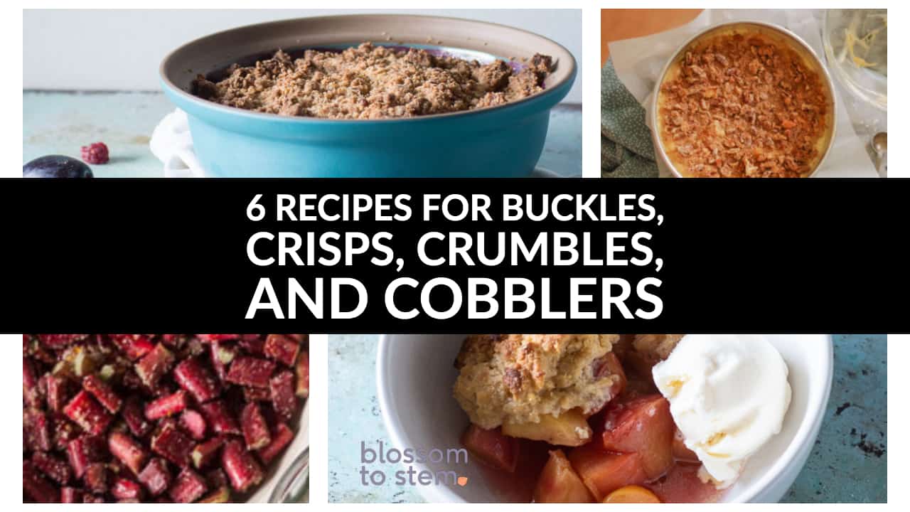 6 Recipes for buckles, crisps, crumbles, and cobblers