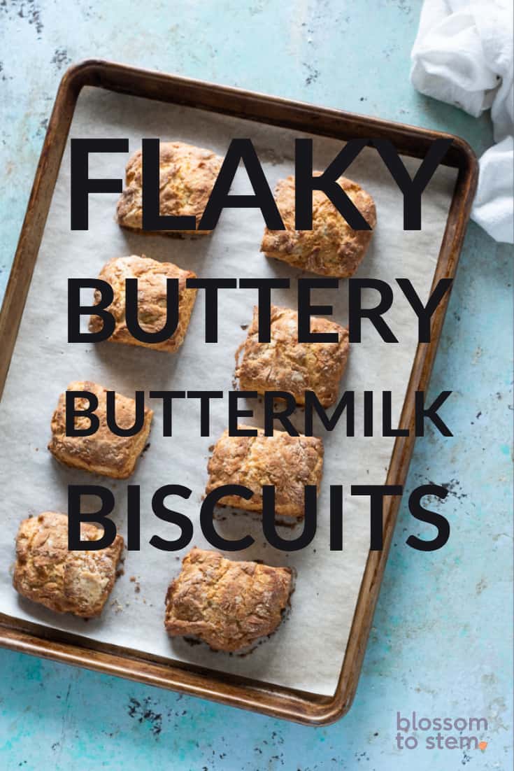 Flaky, buttery buttermilk biscuits