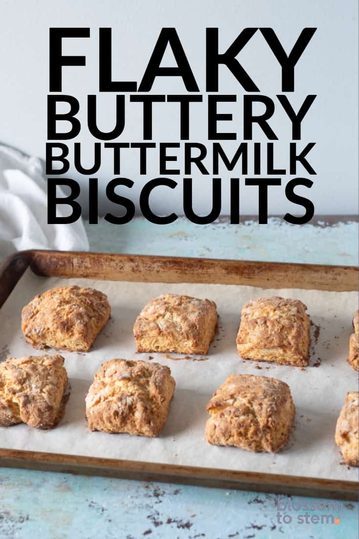 Flaky, Buttery Buttermilk Biscuits