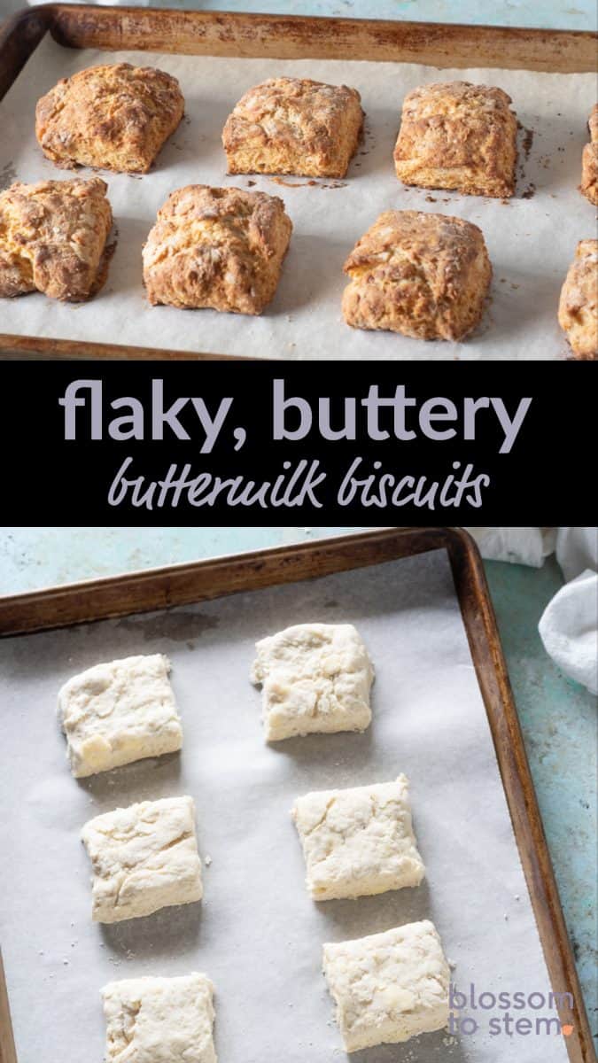 Flaky, Buttery, Buttermilk Biscuits