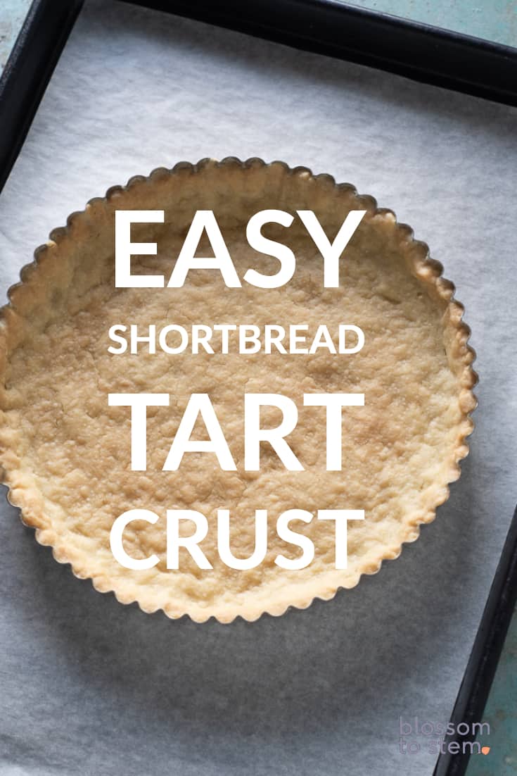 Easy Shortbread Tart Crust
