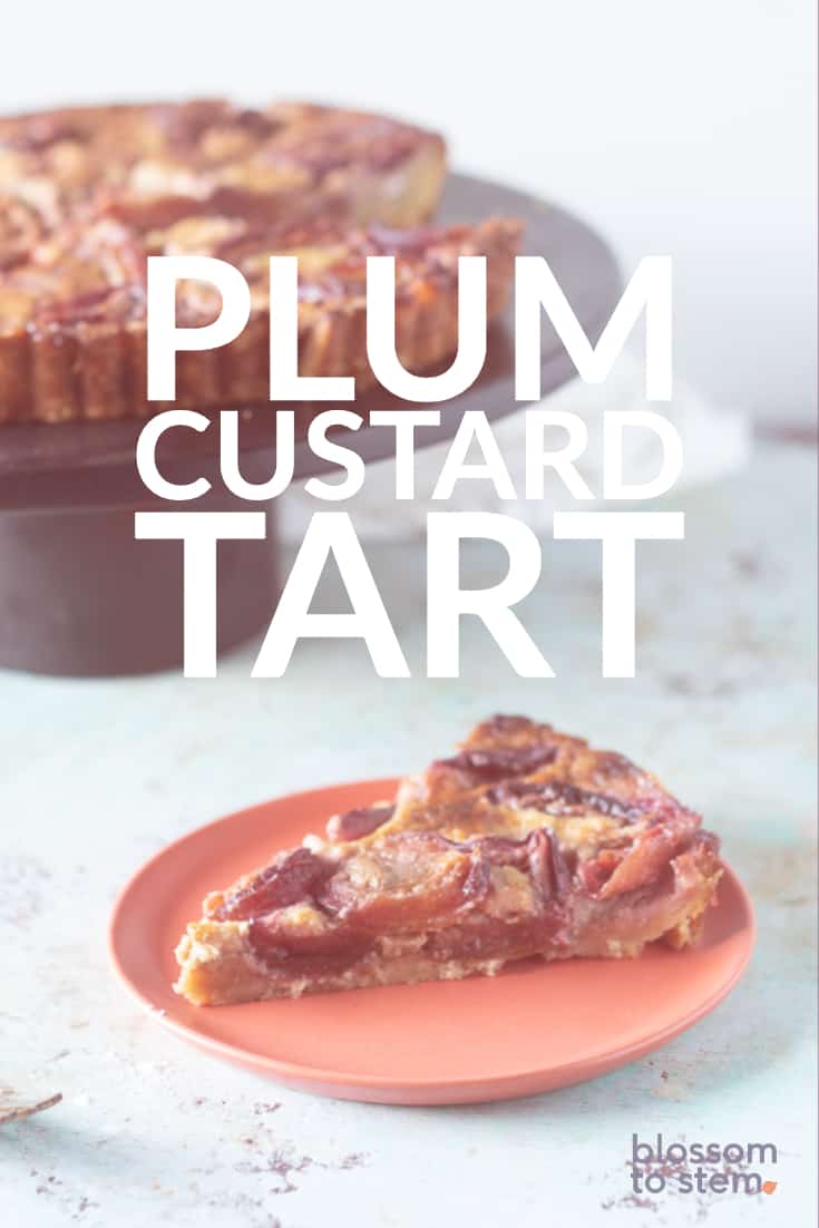 Plum Custard Tart
