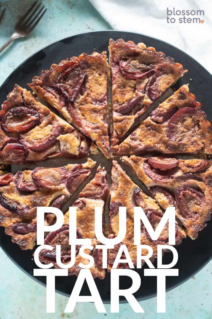 Plum Custard Tart