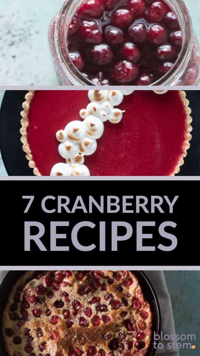 7 Cranberry Recipes