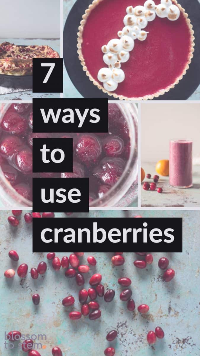 7 Ways to Use Cranberries
