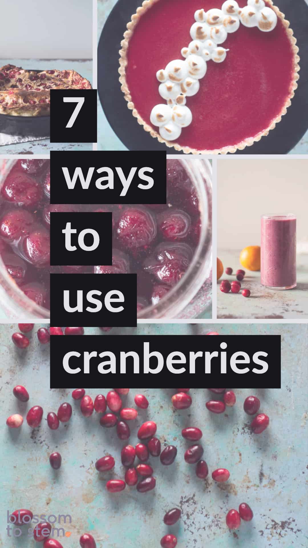 Cranberry Recipes, bright and puckery Blossom to Stem