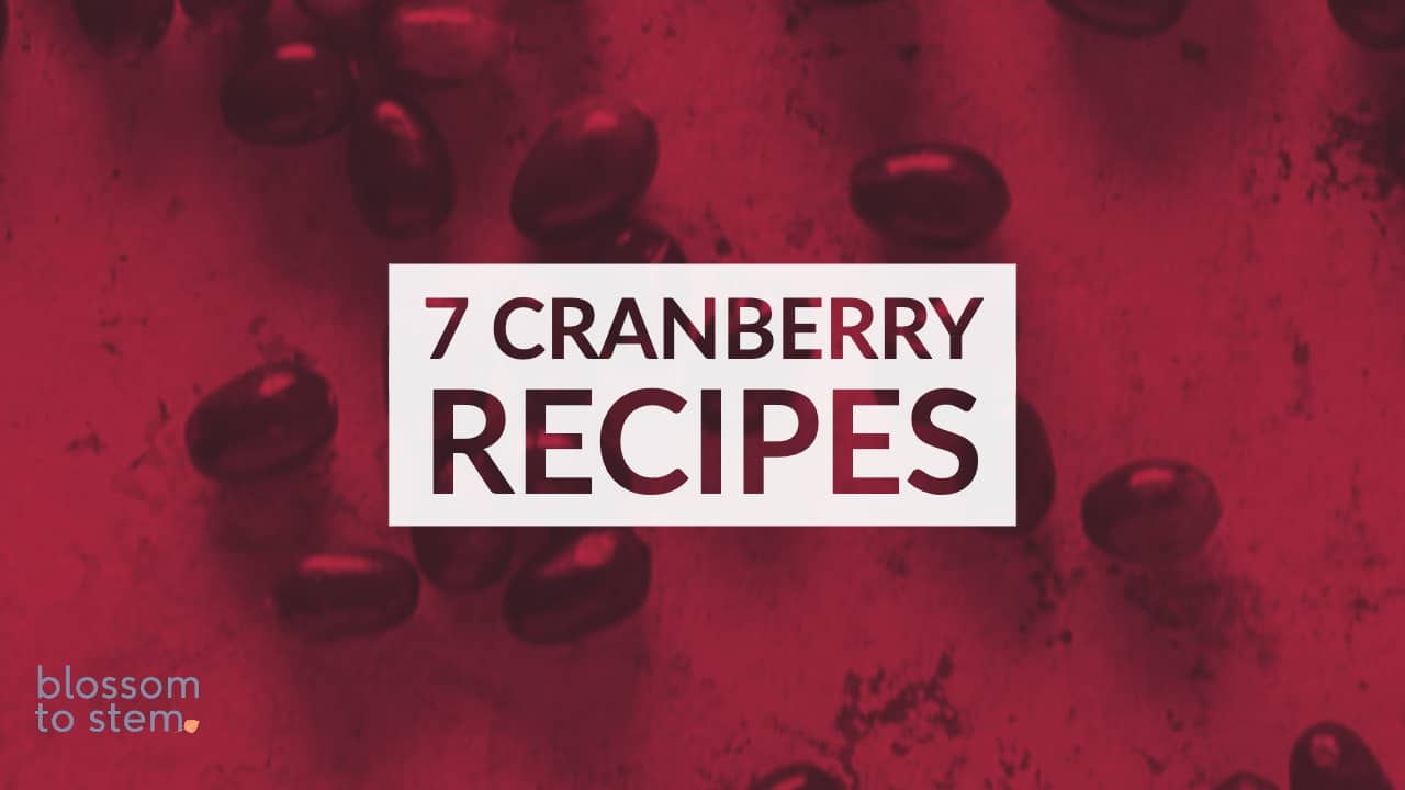 7 Cranberry Recipes