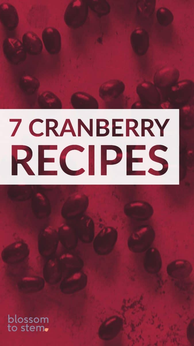 7 Cranberry Recipes