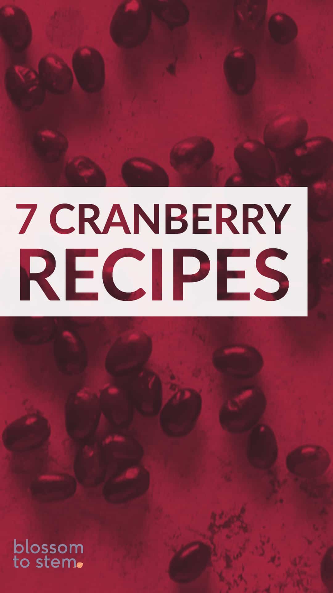 Cranberry Recipes, bright and puckery - Blossom to Stem