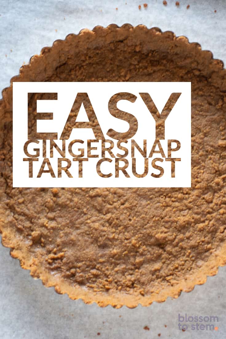 Easy Gingersnap Tart Crust