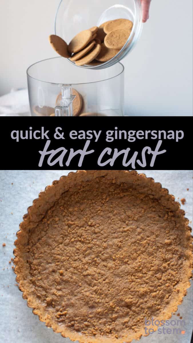 Quick and Easy Gingersnap Tart Crust